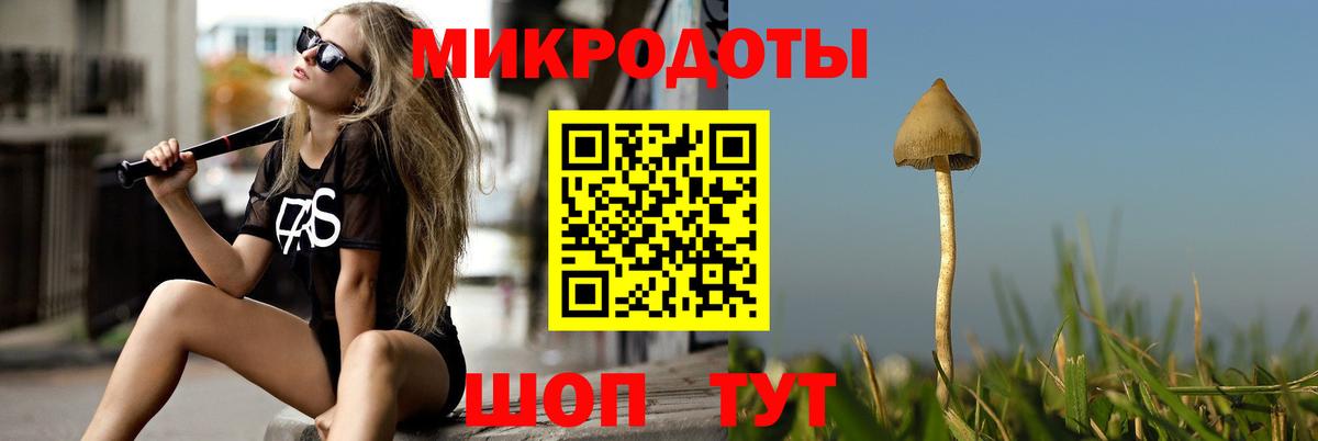 Псилоцибиновые грибы мицелий  Псилоцибиновые грибы Psilocybe  Вход с VPN  Похвистнево 
